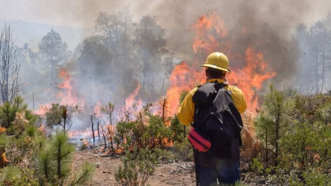 Autoridades estatales y federales acuerdan mantener coordinación en combate de incendios forestales