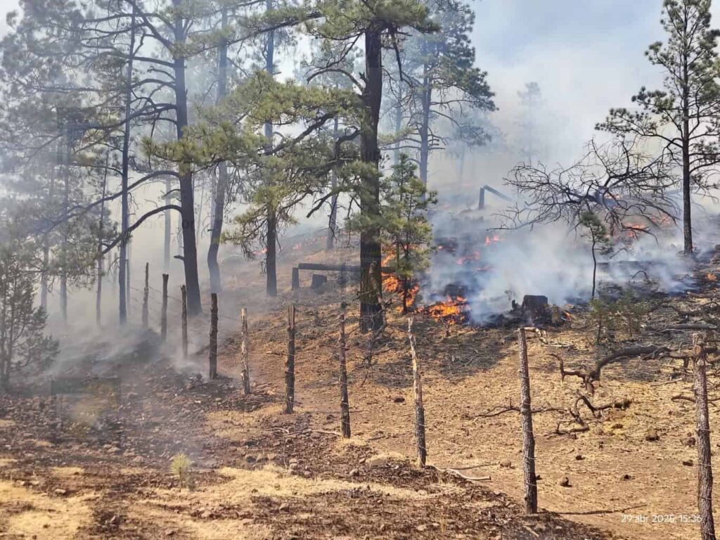 Permanecen activos 17 incendios forestales en la entidad