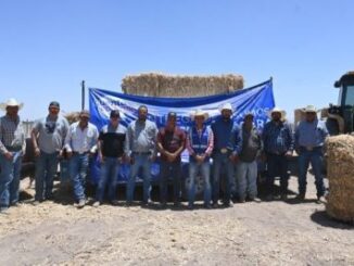 Continúa el apoyo a productores del campo en Ascensión con entrega de pacas y pláticas sobre el gusano barrenador.