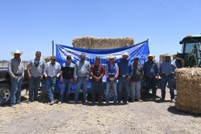 Continúa el apoyo a productores del campo en Ascensión con entrega de pacas y pláticas sobre el gusano barrenador.