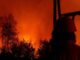 Registra SDR 289 incendios forestales en lo que va de 2025