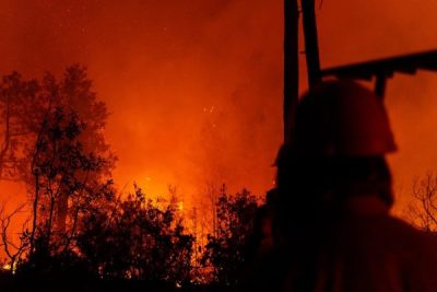 Registra SDR 289 incendios forestales en lo que va de 2025