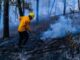Combaten 262 brigadistas los 13 incendios forestales activos en 9 municipios