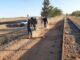 Trabaja Servicios Públicos de NCG en rehabilitación de caminador sur