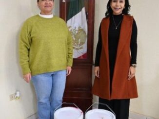 Apoya presidenta Ivonne De La Hoya a escuela primaria con pintura