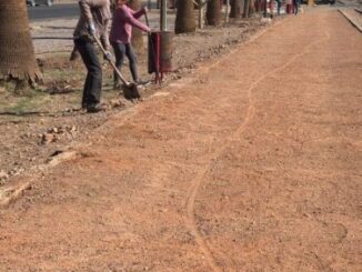Se unen voluntarios a rehabilitacion  del caminador sur