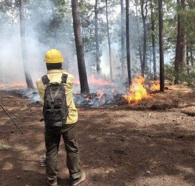 Trabajan 272 combatientes para abatir los siete incendios activos en la entidad