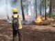 Trabajan 272 combatientes para abatir los siete incendios activos en la entidad