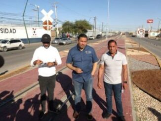 Camellón del eje vial Juan Gabriel luce rehabilitado