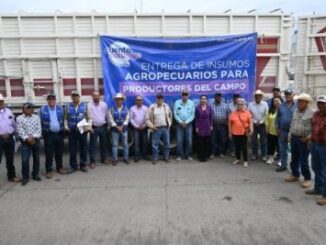 Entrega alcaldesa Ivonne De La Hoya apoyo de maíz rolado a ganaderos de Ascensión